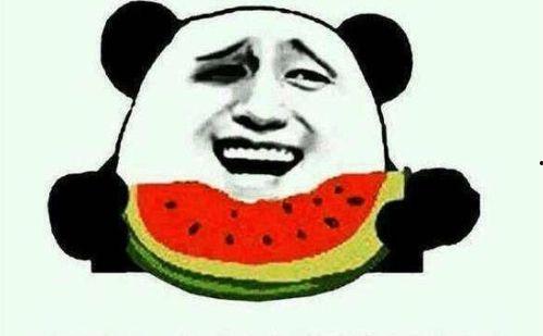 一个娱乐圈的吃瓜群众,明星背后的真实故事